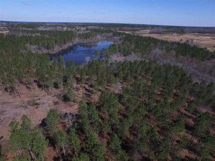 Property in Tattnall County, Georgia