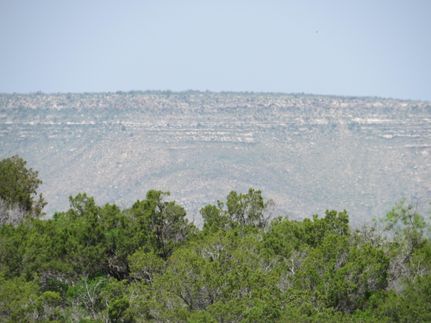 Farm Property in Coke County, Texas