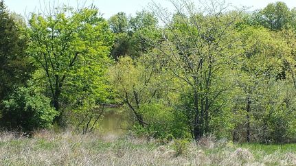 Recreational Property in Saint Charles County, Missouri