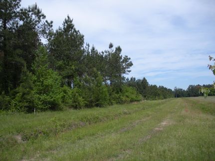 Ranch Property in Horry County, South Carolina