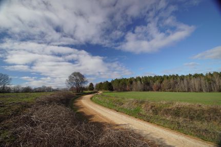 Residential Property in Holmes County, Mississippi