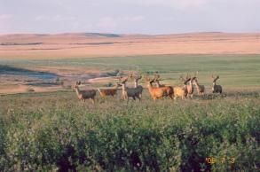 Property in Carbon County, Montana