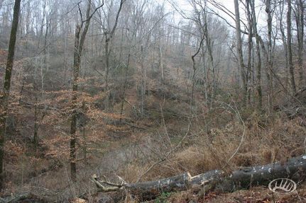 Property in Allen County, Kentucky