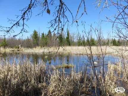 Farm Property in Bayfield County, Wisconsin