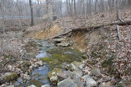 Timberland Property in Jackson County, Ohio