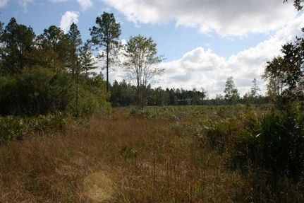 Property in Ware County, Georgia