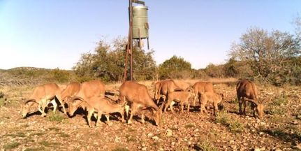 Farm Property in Edwards County, Texas