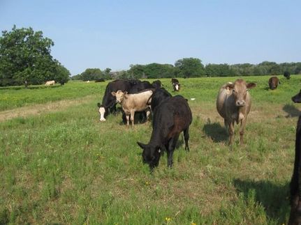 Property in Bryan County, Oklahoma