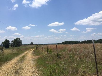 Horse Property in Webster County, Georgia