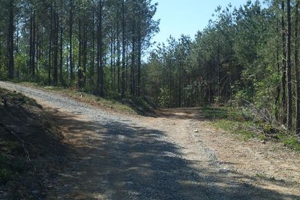 Property in Meigs County, Tennessee