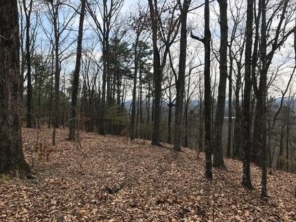 Timberland Property in Gordon County, Georgia
