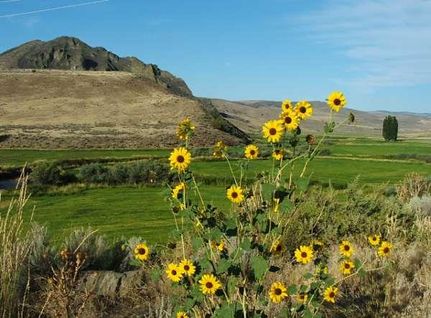 Property in Malheur County, Oregon