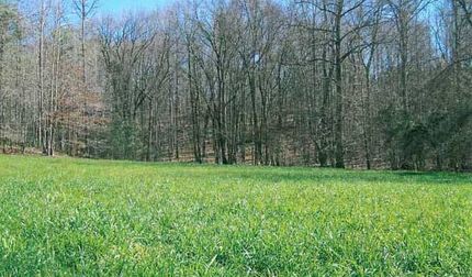Farm Property in Macon County, Alabama