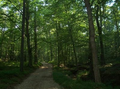 Farm Property in Bath County, Kentucky