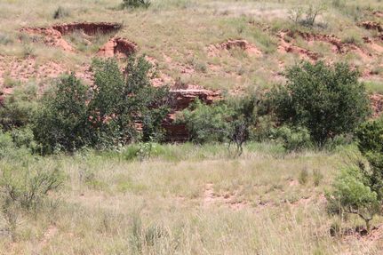 Farm Property in Dickens County, Texas