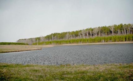 Hunting Land in Lunenburg County, Virginia