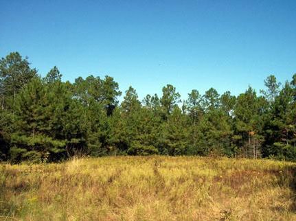 Property in Stone County, Mississippi
