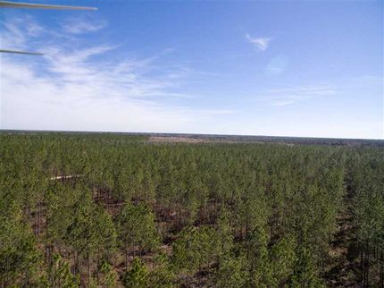 Property in Clinch County, Georgia