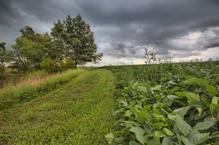 Farm Property in Monroe County, Missouri