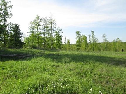 Farm Property in Williamson County, Tennessee