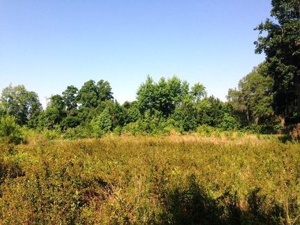 Property in Glynn County, Georgia