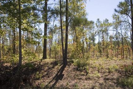 Farm Property in Jefferson County, Georgia