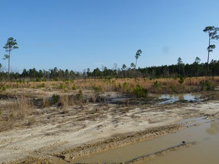 Commercial Property in Hancock County, Mississippi