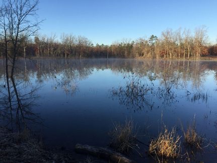 Property in Red River County, Texas