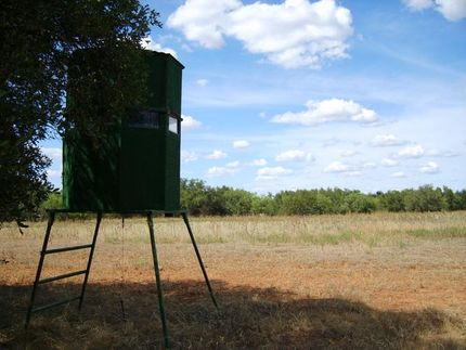 Property in Coleman County, Texas