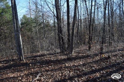 Farm Property in Carroll County, Tennessee