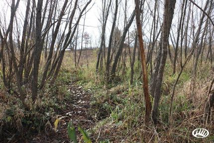 Property in Grundy County, Missouri