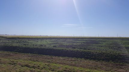 Farm Property in Hidalgo County, Texas
