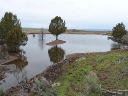 Recreational Property in Harney County, Oregon
