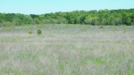 Farm Property in Falls County, Texas