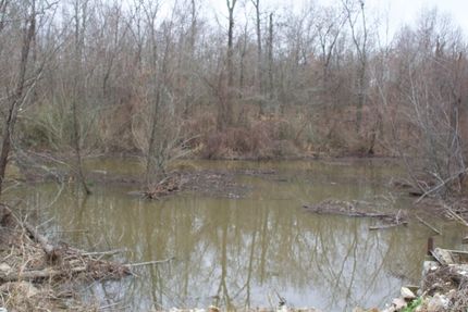 Property in Red River County, Texas