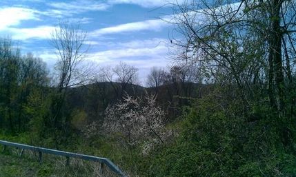 Farm Property in Sullivan County, New York