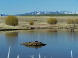 Property in Carbon County, Montana