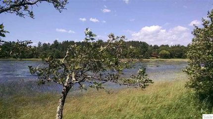 Lakefront Property in Douglas County, Wisconsin