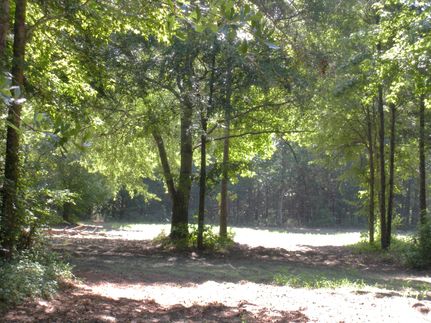 Farm Property in Bullock County, Alabama