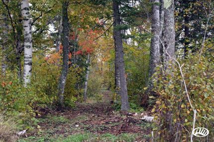 Property in Cook County, Minnesota