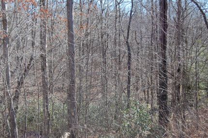 Ranch Property in Grundy County, Tennessee