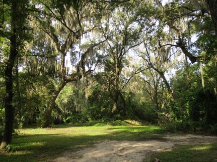 Farm Property in Hillsborough County, Florida