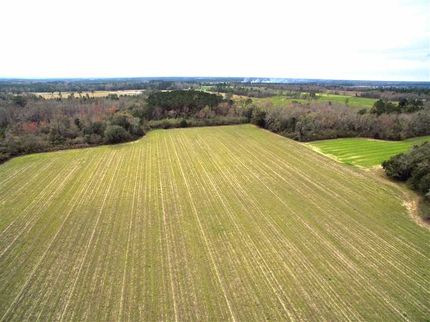 Property in Brooks County, Georgia