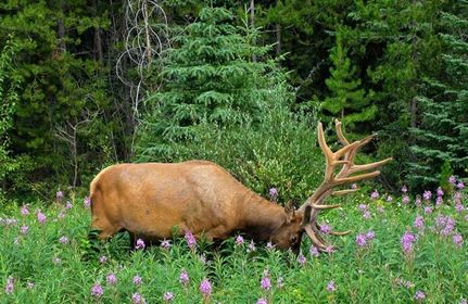 Property in Umatilla County, Oregon