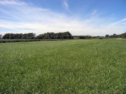 Ranch Property in DeKalb County, Missouri