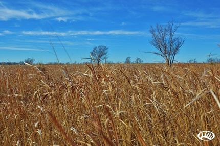 Property in Hall County, Texas