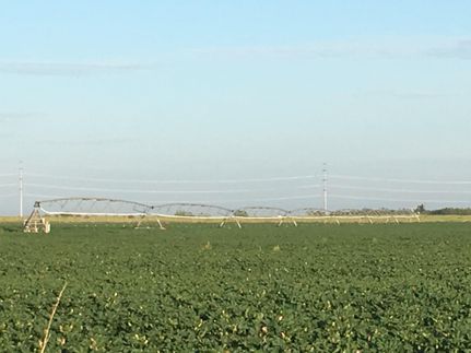 Hunting Land in Hardeman County, Texas
