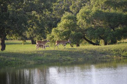 Property in Fayette County, Texas