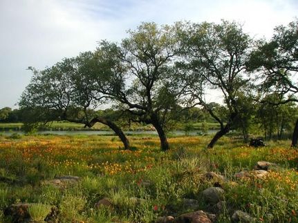 Farm Property in Llano County, Texas