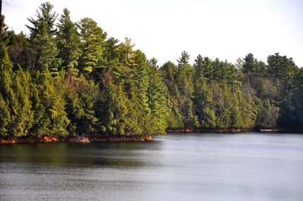 Property in Saint Lawrence County, New York